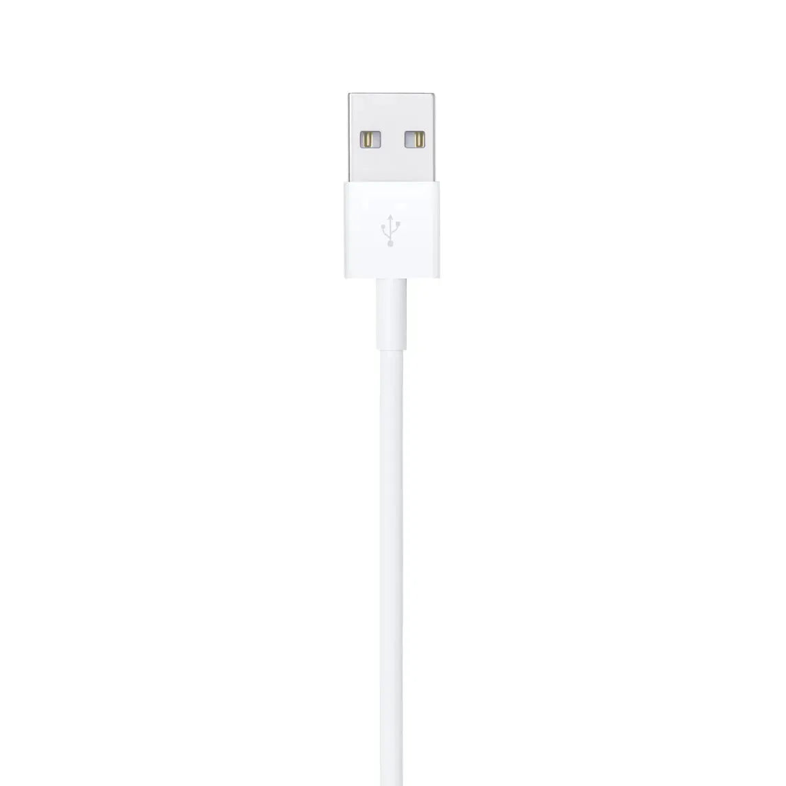 Apple Lightning connector close up. Fast and safe iPhone charging cable