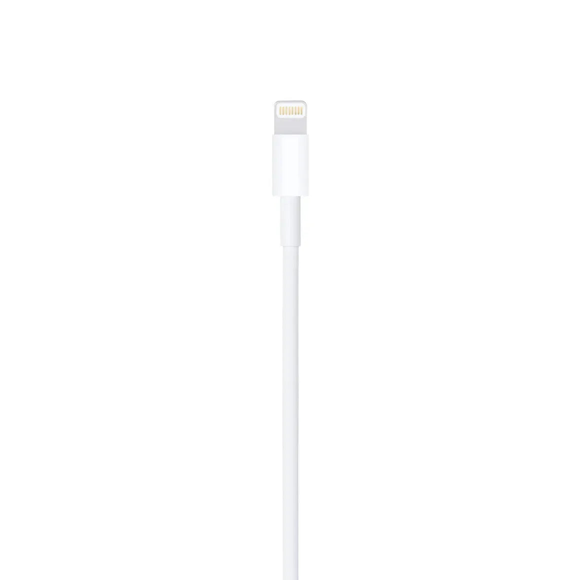 Apple Lightning connector close-up. Fast and safe iPhone charging cable